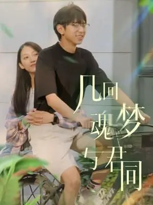 《几回魂梦与君同》：穿越时空的爱恋，反转宿命的奇幻之旅